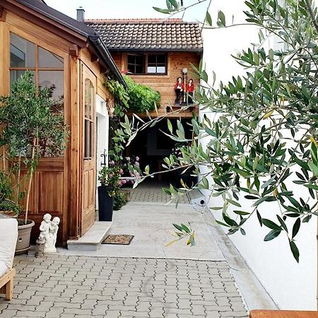 몰비슈암시 Casa Zara 아파트 외부 사진